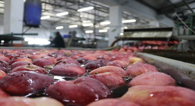 Türkiye’den 80 ülkeye 180 milyon dolarlık elma ihracatı