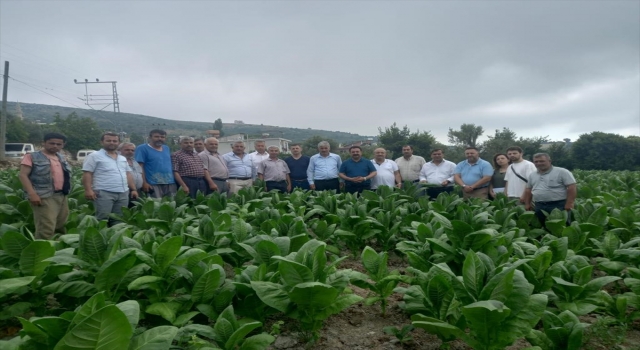 Tütün Üretimi ve Pazarlama Kooperatifleri Birliği Genel Başkanı Solgun, Hatay’da