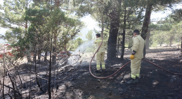 Adana’da çıkan orman yangını kontrol altına alındı
