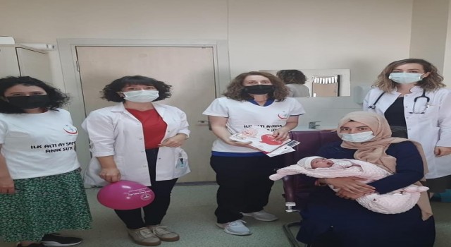 Bozüyük Devlet Hastanesinde anne sütünün önemi anlatıldı