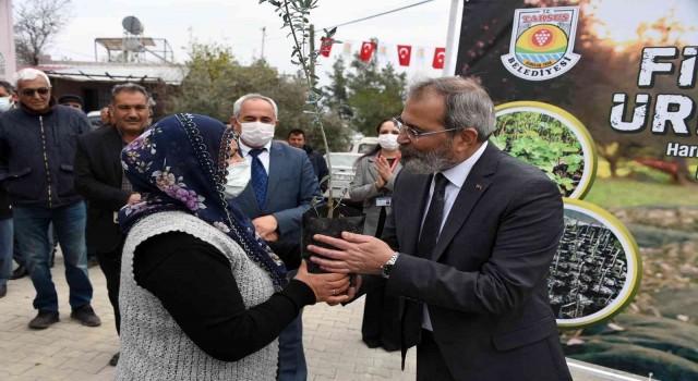 Tarsus Belediyesi, 24 mahallede üreticilere ücretsiz fidan dağıttı
