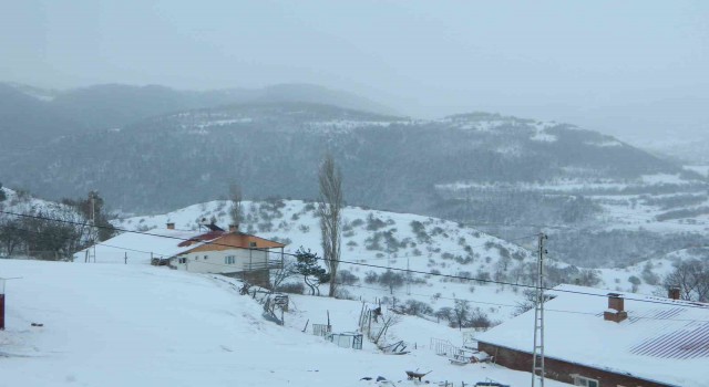 Posofta kar ve tipi okulları kapattı