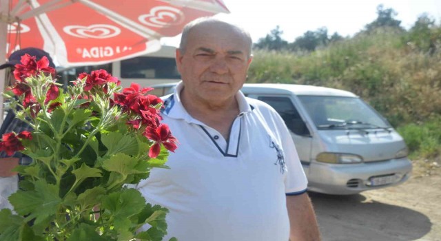 Bilecikte şarkısıyla ünlü olan Ebe Gümeci çiçeğine vatandaşlar yoğun ilgi gösteriyor