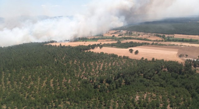 Çanakkalede ormanlık alana sıçrayan yangın kontrol altına alındı