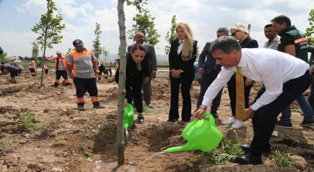 Gölbaşı Belediyesinden Babalar Gününe özel “Ömürlük Yaşayan Çınarlar Hatıra Ormanı”