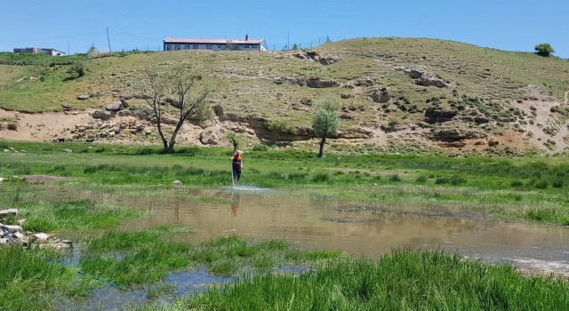 Tatvanda ilaçlama ekipleri iş başında