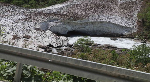 Ummanlı turistin arama çalışmaları 3. gününde devam ediyor