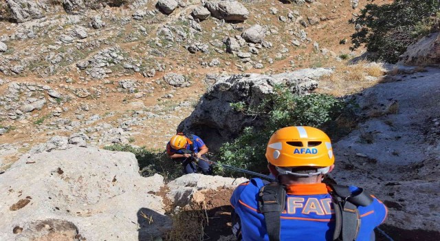 Kayalıklarda 5 gün mahsur kalan 2 keçi AFAD ekipleri tarafından kurtarıldı