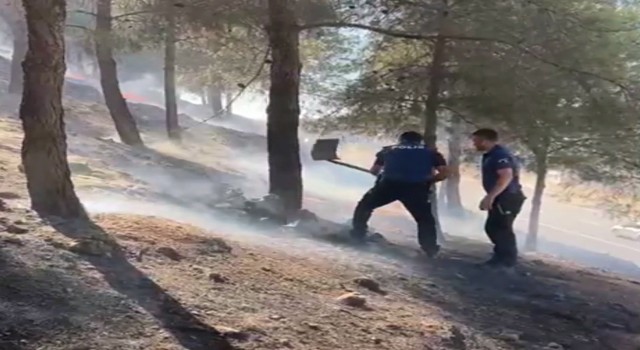 Orman yangınını polisler söndürdü