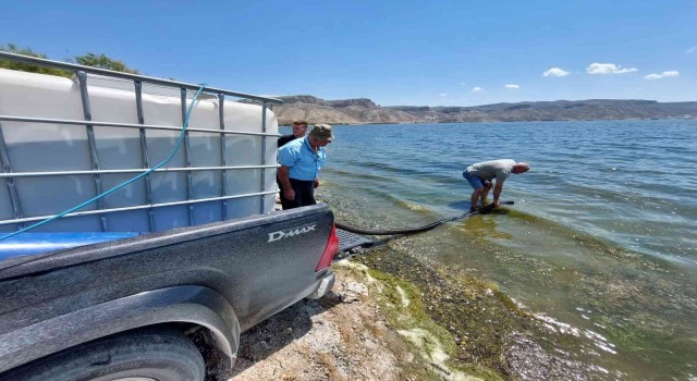 Boluda üretilen balıklar Ankaranın göllerine salındı