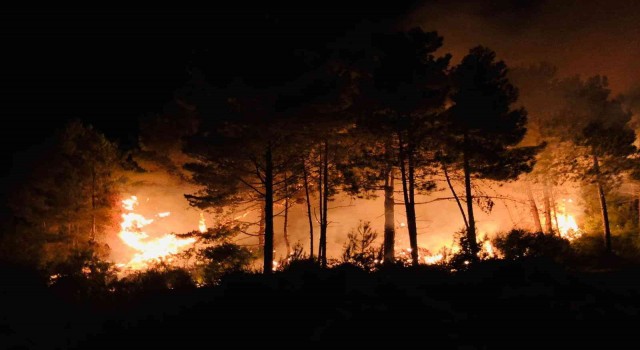 Sinopun Gerze ilçesinde çıkan orman yangını korkuttu