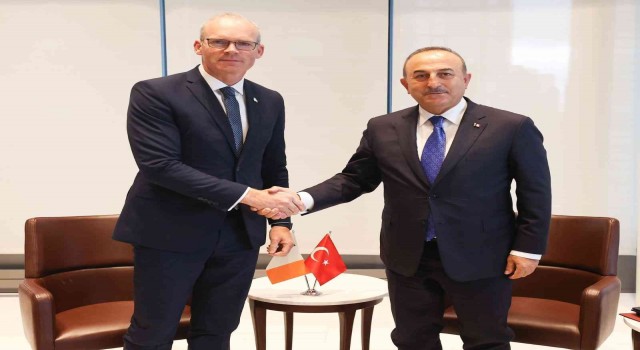 Dışişleri Bakanı Çavuşoğlu, İrlanda Dışişleri ve Savunma Bakanı Coveney ile görüştü