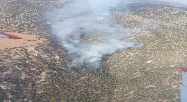 Adanadaki orman yangınına müdahale sürüyor