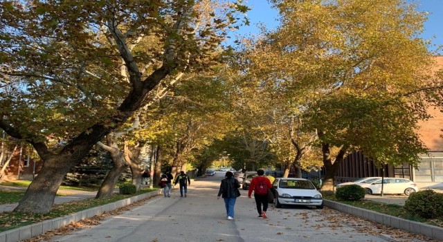 Anadolu Üniversitesinde eşsiz sonbahar manzaraları