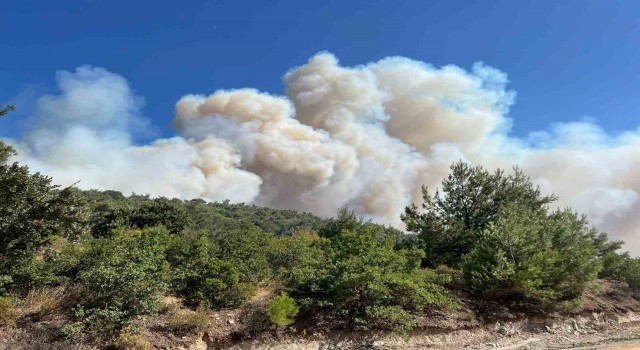 Manisada orman yangını: Birçok ev yandı, vatandaşlar tahliye ediliyor
