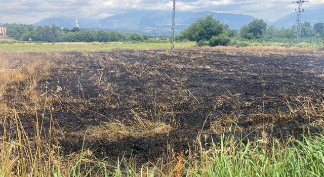 Osmaniye’de Buğday Tarlasında Yangın: 7 Dönüm Zarar Gördü