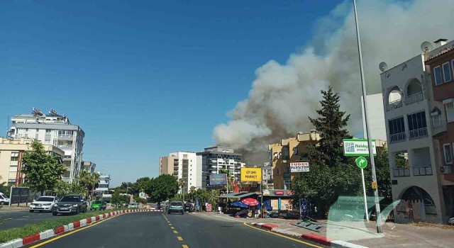 Antalyadaki orman yangınına müdahale sürüyor