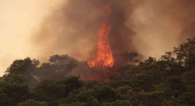 Datçada orman yangınlarına karşı ek önlemler alındı