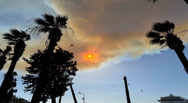 İzmirdeki orman yangını Kuşadasını duman bulutuna boğdu