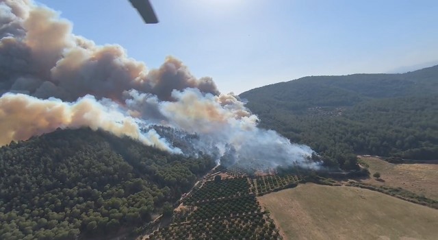 İzmirin Menderes ve Çeşme ilçelerinin ardından Selçuk ilçesi Pamucak mevkiinde de yangın çıktı. Yangına 4 helikopter ve 5 uçak ile havadan ve karadan müdahale ediliyor.