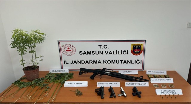Jandarmadan uyuşturucu ve silah operasyonu: 2 gözaltı