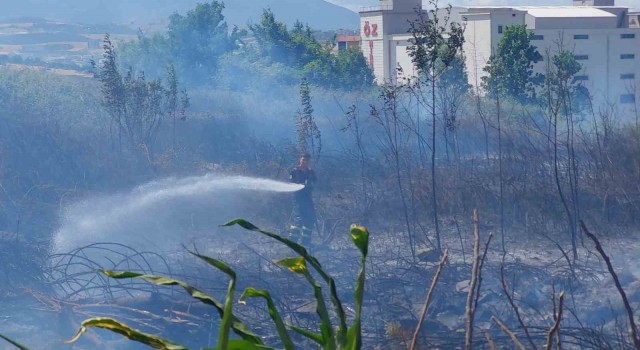 Samsunda boş arazide yangın çıktı