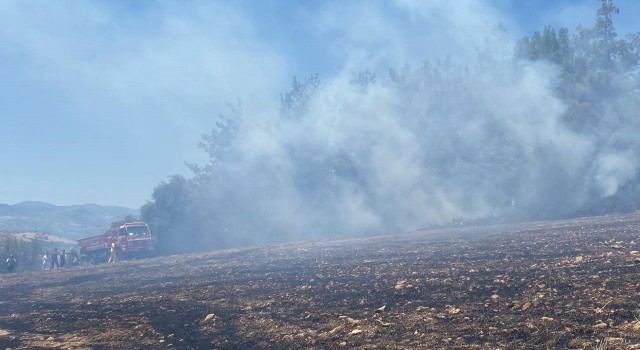 Adanada orman yangını kontrol altına alındı