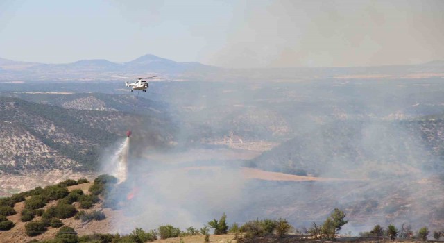 Çalda makilik alanda çıkan yangında 20 hektar alan zarar gördü
