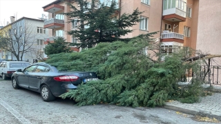Isparta’da kuvvetli rüzgar nedeniyle devrilen ağaç, otomobile zarar verdi