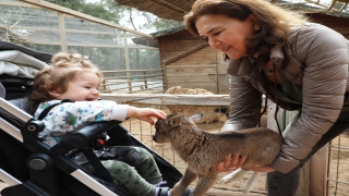 Antalya Hayvanat Bahçesi baharın gelmesiyle doğan yavrularla şenlendi