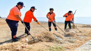 Mersin’de sahillerde temizlik çalışması yapıldı