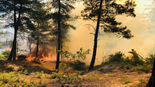Hatay’da Amanos Dağları eteklerinde orman yangını çıktı