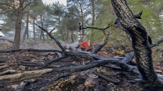 Antalya’da çıkan orman yangını kontrol altına alındı