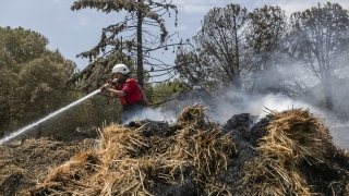 Mersin’de ormanlık alanın yanındaki saman balyalarında çıkan yangın söndürüldü