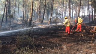 Antalya’nın Kumluca ilçesinde orman yangını çıktı