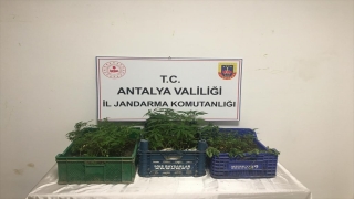 Antalya’daki uyuşturucu operasyonunda 1 şüpheli gözaltına alındı