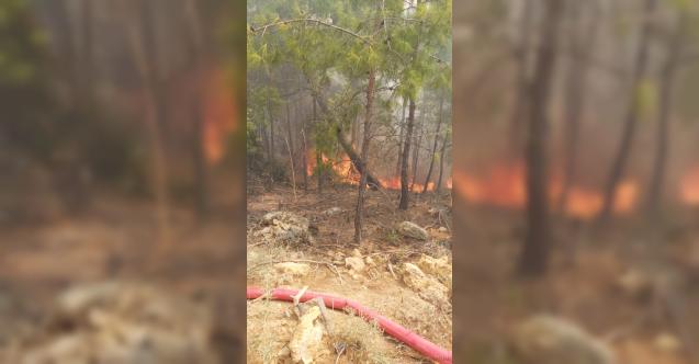Mersin&#039;de çıkan orman yangını söndürüldü