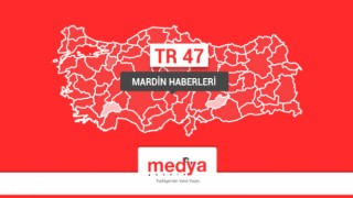 Mardin’de PKK/KCK operasyonu: 28 gözaltı