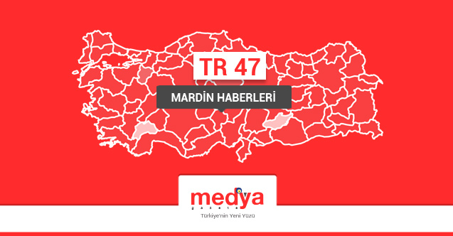 Mardin’de ambulans at sürüsüne daldı