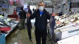 Karadenizde yeterli av olmayınca Trabzon Balık Halinde İzmir ve İstanbuldan gelen balıklar satışa sunuldu