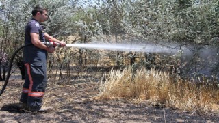 Elazığda yangın: 12 dönüm ekili alan kül oldu