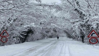 Ağaç Tünel eşsiz kar manzaraları sundu