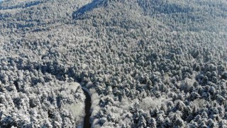 Bolunun karla kaplı ormanları havadan görüntülendi