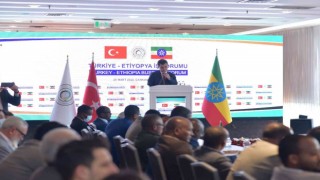 Türkiye-Etiyopya iş forumuna geniş katılım