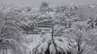 Vali Dağlı: “Samsunda kar yağışında olumsuz bir durumla karşılaşılmadı”