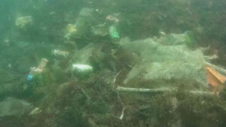 Balıkçı barınağındaki kirlilik su altından görüntülendi