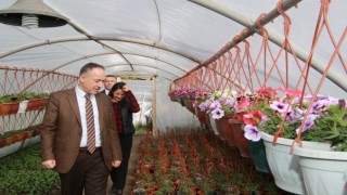 Başkan Saygılı: Çiçek seraları bütçemize tasarruf sağlıyor