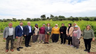 Akdeniz Belediyesi, çiftçilere verimli gübre kullanımı semineri başlatıyor