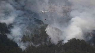 Alanyadaki yangına helikopter, 200 işçi ve 22 arazözle müdahale ediliyor