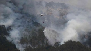 Antalyada dün başlayan yangın bugün kontrol altına alındı